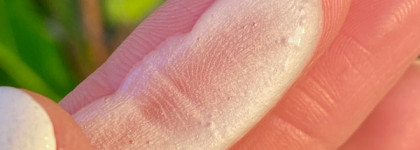 Dr.Ceuracle Pro-balance Creamy Cleansing Foam