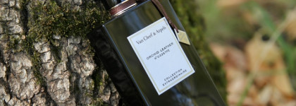 Осенний парфюм про кожу Orchid Leather Van Cleef & Arpels EDP