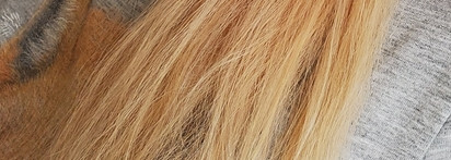 Краски L'Oreal Preference: выправить цвет волос, сохранить длину и не сойти с ума