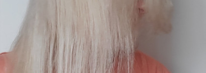 Почему тонируюсь дома? Краски Kallos kjmn Keratin & Argan Oil 10.0, 0.22 и 10.31