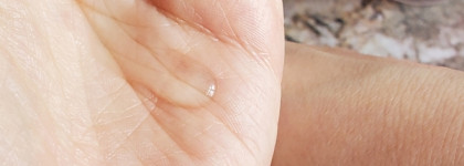 Сухой обзор увлажняющего тонера Secret Key Rose Floral Softening Toner