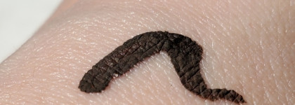 Катастрофа в миниатюре Essence The dip eyeliner brown waterproof