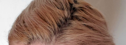 Вернёт ли Тоника 9.1 платиновый блонд и восстановит волосы?