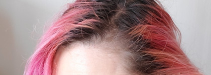 Неоднозначный шампунь Alama Repair Shampoo