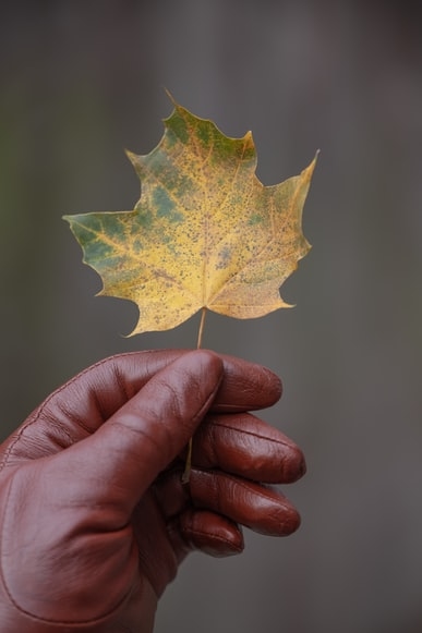 Фото Unsplash.com
