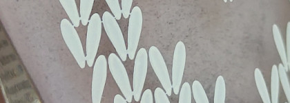 Топ-3 нюдовых лака для ногтей