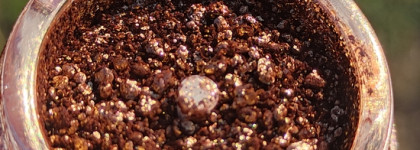 Тени для век Power Foil metallic eyeshadow Lottie London оттенок Golden hour