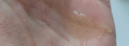 Фавориты 2024