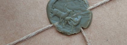 Моя прелесть: Shellwe Makeup "Elaina"