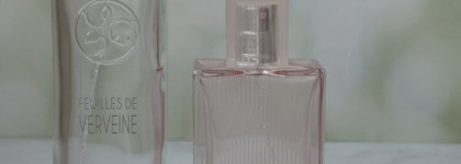 Итоги лета 2025