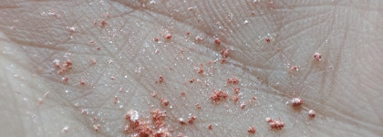 Розовый фламинго от Estrade. Рассыпчатый пигмент для век Manifest в оттенке 11