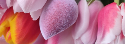 Такой идеальный для фото спонж для макияжа Focallur