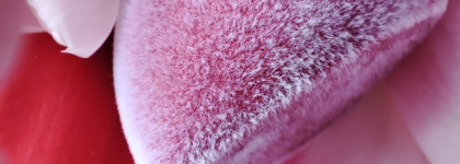 Такой идеальный для фото спонж для макияжа Focallur