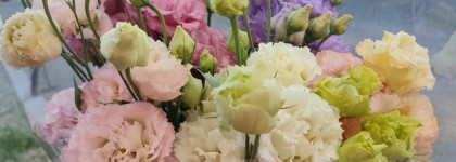 Любимая парфюмерная вода Plein Soleil Yves Rocher словно цветущий сад