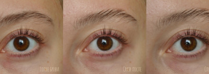 Шикарная фиксация бровей и её цена | Catrice Super Glue Brow Gel