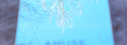 Небольшой обзор Amuse Eye Vegan Sheer Palette #02 Sheer Pink