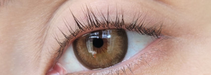 Три корейских туши в коричневом оттенке: 2aN, Darling, Rom&nd. Обзор и сравнение