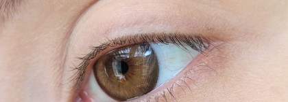 Три корейских туши в коричневом оттенке: 2aN, Darling, Rom&nd. Обзор и сравнение