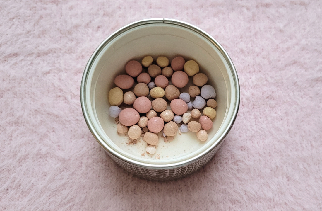 Спустя столько времени они еще живы!