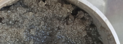 Как пережить жару. Скраб для тела с охлаждающим эффектом и шампунь для глубокого очищения от О.К.Beauty