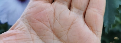 Как приручить дракона или мой опыт использования шампуня Olaplex 4P Blonde Enhancer Toning Shampoo