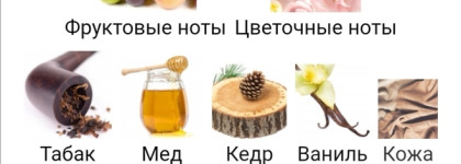 ¡No pasarán, Comandante! Xerjoff JTC Comandante