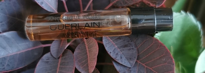 Капризная красавица Guerlain Angélique Noire