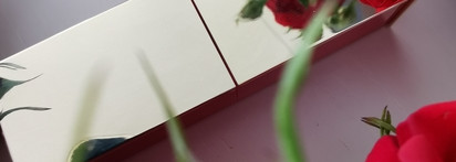 Помада Rosso Valentino Matte Lipstick 102R Poudre