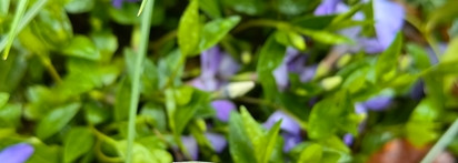 И снова о Kerastase: шампунь Bain Extentioniste и маска Resistance Therapiste