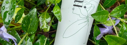 Моя коллекция средств для очищения кожи