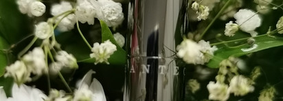 Chantecaille Lip Chic Bourbon Rose: свои губы, только нежнее