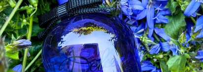 Вечер в фруктовом саду: Dolce & Gabbana Dolce Violet новинка 2023