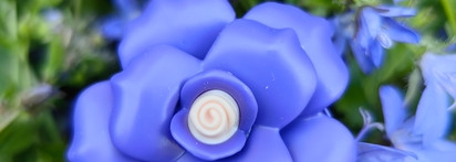 Вечер в фруктовом саду: Dolce & Gabbana Dolce Violet новинка 2023