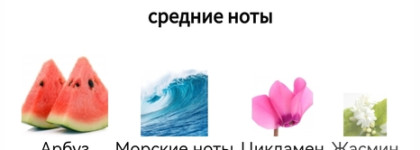 Лето с Ombrella Crash Jacques Zolty