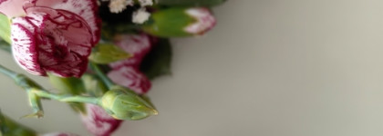 Успокаивающая линия для кожи лица Dr. Jart+ Cicapair