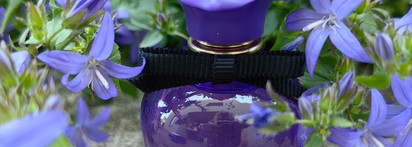 Вечер в фруктовом саду: Dolce & Gabbana Dolce Violet новинка 2023