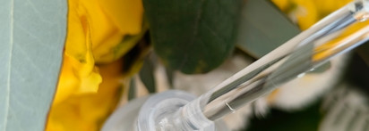 Dear, Klairs Fundamental Watery Oil Drops - рабочая увлажняющая сыворотка