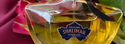 Лимитка 2023: Guerlain Shalimar Millesime Iris - танец феи Драже