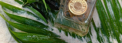 День на море с Burberry Goddess