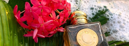 День на море с Burberry Goddess