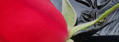 Замереть, как под гипнозом, с Lancome Hypnose palette 06 Reflet D’amethyste