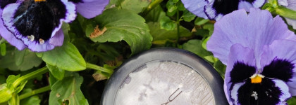 Лучший хайлайтер мой, Mac Extra Dimension Skinfinish Soft Frost