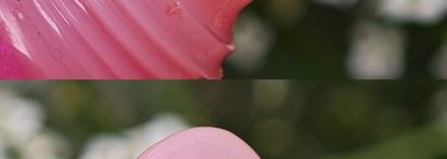 До горечи сладкое разочарование: Essence Juicy Bomb Shiny lipgloss 102 Whitty Watermelon и 203 Proud Papaya