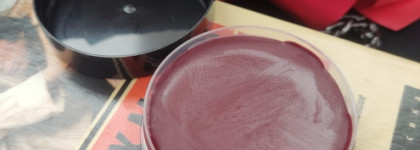 Для пьянящих поцелуев. Тинт Organic kitchen read my lips 03