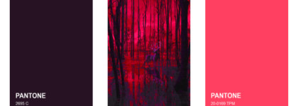 Моё гранжевое липкомбо - Nrav Lip Pencil Smooth Glide-On и Beauty bomb Liquid Lipstick Nirvana