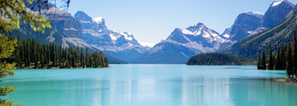 Штиль на лазурном озере, шапки пионов и сад. Женственный Brocard Color Feeling Azure