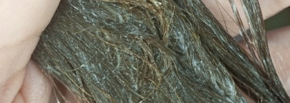 Трава-мурава, тошнотворная отдушка и моё знакомство с Dr. Sante Cannabis Hair