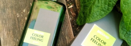 Унисекс вне сезона - полынь, ментол и бергамот. Brocard Color Feeling Green