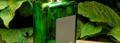 Унисекс вне сезона - полынь, ментол и бергамот. Brocard Color Feeling Green