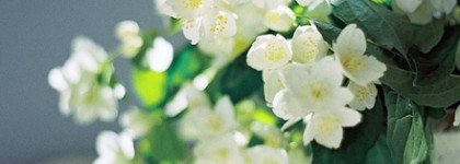 Земфира, Kenzo и квинтэссенция нежности вместе с Brocard Sea Sparkle